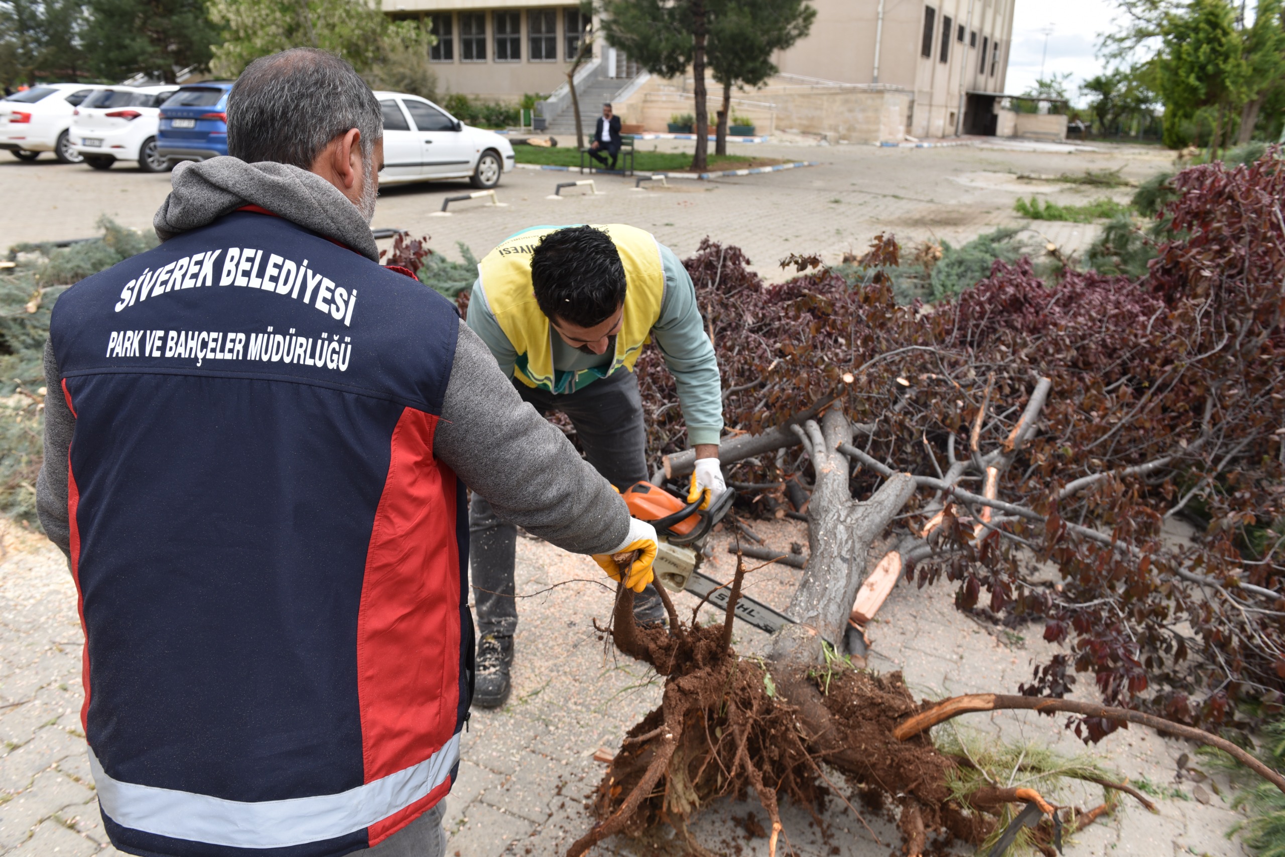 Belediyemiz Viranşehir için seferber oldu